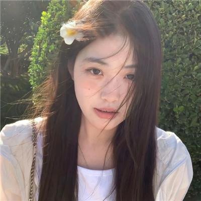 红绒花封面